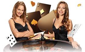 Panduan awal pengguna baru di dodotogel